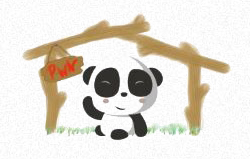 Pwn Panda
